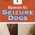 51 Seizure Dogs Types Of Memory Jury Duty Robert Sapolsky Father Offspring Interviews