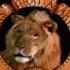 Metro Goldwyn Mayer Studio