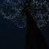 Indila Love Story Instrumental The Beauty And Majestical Nature At Night