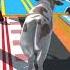 Plasma 3D ANIMATION Fountain3d 3danimation Cow Fountaincrossing 3dmodeling Flowwaterfountain3d