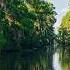 Mardi Gras To Morgan Freeman Stephen Fry S Mississippi Adventure
