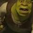 SHERK ŞI JORICA 7 MEMDOM