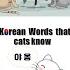 Korean Word Korean Language Get Out In Korean Learn Korean Cat Bath Study Korean Talking Cat
