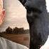 Brutal Summer Full Episode Incredible Dr Pol Nat Geo Animals
