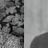 André Gide à Propos De Francis Jammes 1949