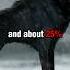 The Dire Wolf Was Bigger Heavier Than Modern Wolf S