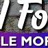 Michele Morrone Hard For Me Karaoke Instrumental Acoustic