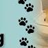 I Taught Magnus To Pee In The Toilet Short Dog