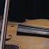 Alan Walker Unity Alicja Malinowska Violin Cover