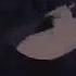 Owari No Seraph AMV Rise