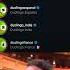 Duolingo Rip But Alive In France Ripduo Duolingo Memes Duolingomemes