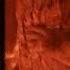The Burning Orphanage Scene From MIGHTY JOE YOUNG 1949