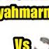 NGAKAK WAYANG KAMPUNG SEBELAH KOMA RAMARI MARI Vs SYAH MARNI