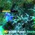 DotA EcHo SlaM Full Video REUPLOADED
