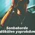 Kanadımı Kırdılar Uçamadım Anne