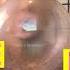 DUBBLE BUBBLE GUM TALKING ORIGINAL FLAVOR BUBBLE GUM HOW TO BLOW BIG BUBBLES ASMR MUKBANG 먹방 껌