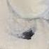 WHY DO YOU MAKE THIS PUT IT IN THE MIXTURE EXPERIMENT GONE Recipe Experiment Miniature