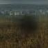 Narvent Luneex Calm Night Audio Spectrum And Videoclip
