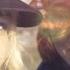 A World Without Love MonaLisa Twins Peter And Gordon Cover