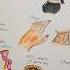 Mirror Song Art Lyrics L Lips Hips Neck Finger Song Artlyrics Lyricbook Art Arttrend Music