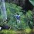James Cameron S Avatar Overview IPad