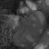 Avril Lavigne Slipped Away Slowed