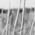 Recondite Jaded