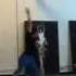 Liberated Movement Just For Now By Imogen Heap