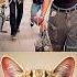 Dangerous Moment Cat Meme Dance Trending
