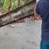 Tips For Pouring Concrete Columns Effectively Amazing Construction Skills Of Construction Work 58