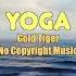 Yoga Gold Tiger Zen Meditation Reiki Relaxing Mind And Body