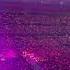 BLACKPINK BORN PINK Encore In Paris Stade De France Pink Ocean