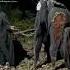 Watch Till End Short Artandcraftofharshu Scary Ghost Monster