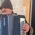Muzica De Strada Live Music
