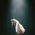 Ariana Grande Past Life Empty Arena