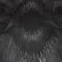 Lord Hastur Feaster From Afar Lovecraftian Ambience Drone