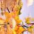 Avalon Alan Walker Anne Gudrun Music Dj Remix Alanwalker Edm Song Music