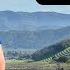 Luxury For Less Best Napa Valley Cabernet 45 99 2025