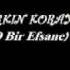 Erkin Koray Copculer