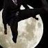 Fullmoon Fullmoonritual Moon Aries Meme Manifest Magick