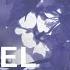 Maazel Glasscat Right Now Monstercat Lyric Video