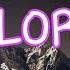 COLORS HALSEY KARAOKE