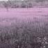 R Plus Dido Those Were The Days Cristoph Remix Official Audio