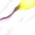 AMV WHEN HUMANS BECOME OUR GODS