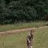 Last Scene Of Shadowlands 1993