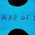 Shape Of You Acoustic