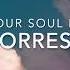 Forrest Your Soul Lyrics