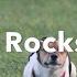 Agility Rocks Feb 2016