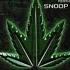 FREE Dr Dre X Snoop Dogg Still D R E Type Beat 2020 Instrumental