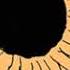 Rex Orange County Sunflower Slowed Reverb
